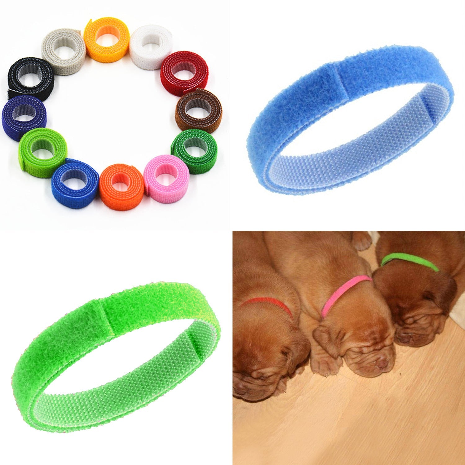 KFX-3459133 Adjustable Rainbow Velcro Identification Collar for Kittens and Puppies, Soft Nylon, Perfect for Newborn Pets