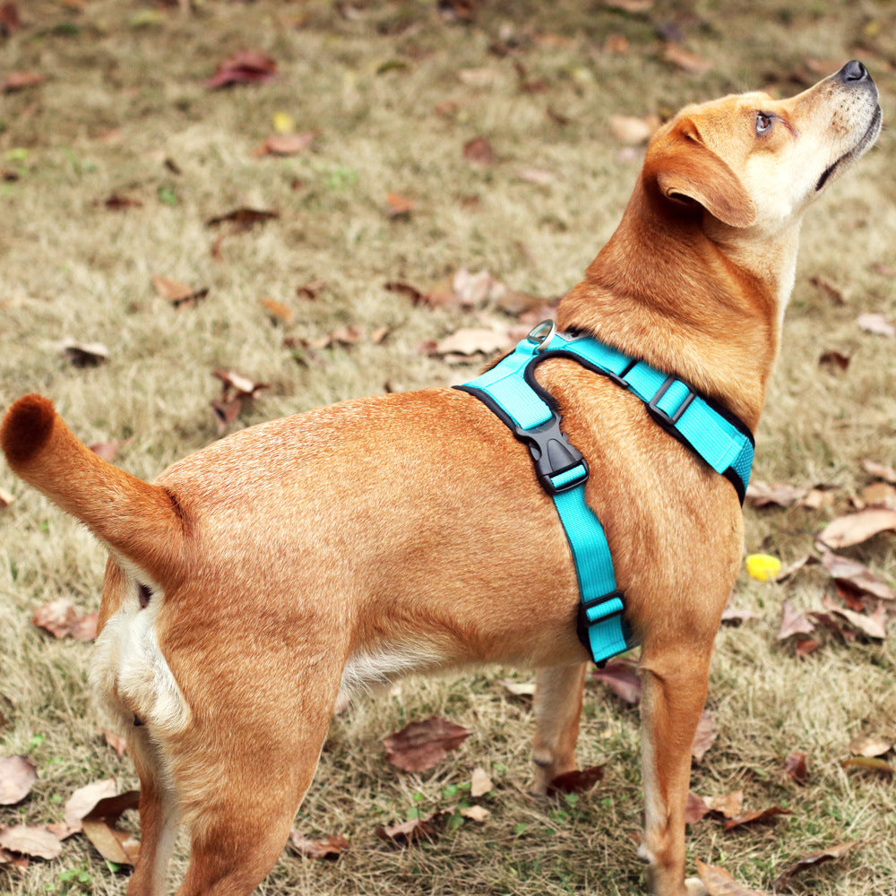 KFX-3462205 Reflective Mesh I-shaped Dog Chest Harness – Breathable & Lightweight, Available in Multiple Colors