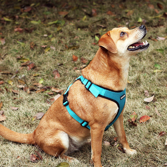 KFX-3462205 Reflective Mesh I-shaped Dog Chest Harness – Breathable & Lightweight, Available in Multiple Colors