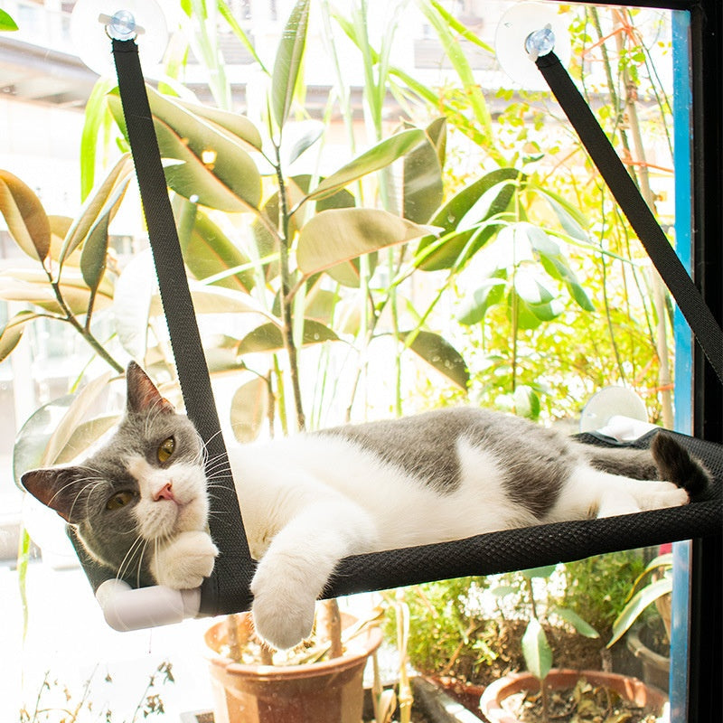 KFX-3470269 Window Cat Hammock with Sucker Holders - Comfortable Hanging Pet Nest in Black or Blue