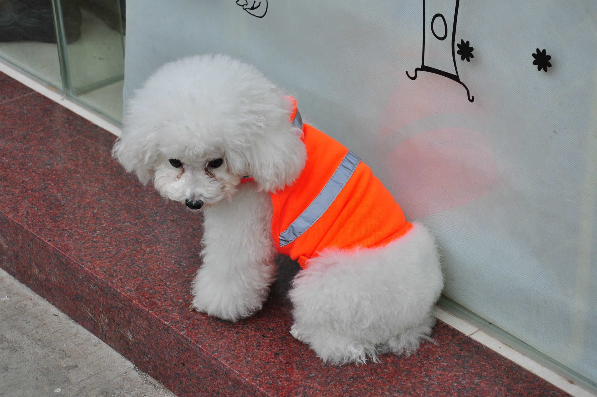 KFX-3472829 Reflective Safety Vest for Dogs - Fluorescent Yellow/Orange, Sizes S, M, L