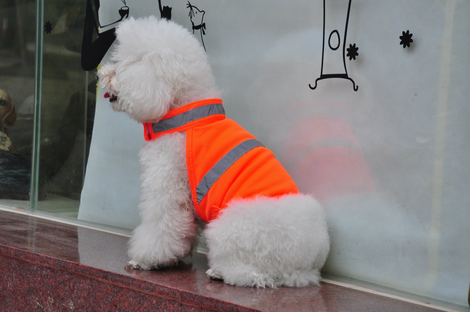 KFX-3472829 Reflective Safety Vest for Dogs - Fluorescent Yellow/Orange, Sizes S, M, L