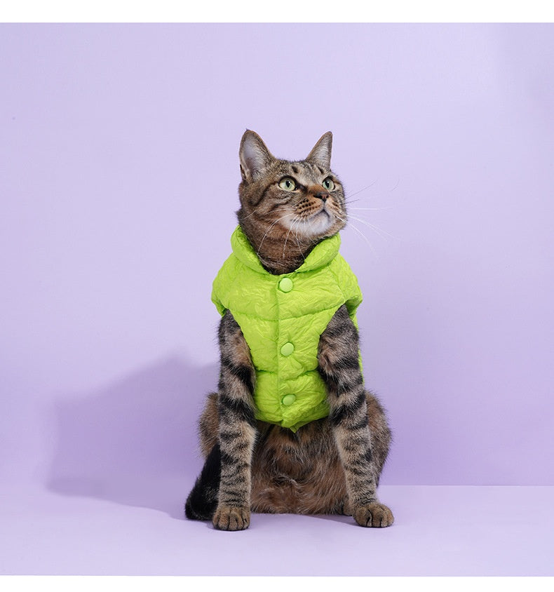KFX-3474237 Fluorescent Green Winter Vest for Dogs and Cats with Matching Scarf, Soft Polyester Fiber, Anti-Lint Design, Casual Style