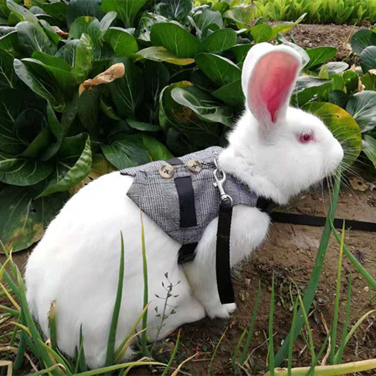 KFX-3478205 Pet Chest Strap with Rabbit Design and Traction Rope – Various Dress Styles Available