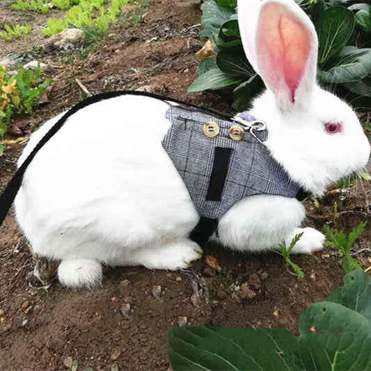 KFX-3478205 Pet Chest Strap with Rabbit Design and Traction Rope – Various Dress Styles Available