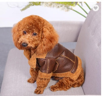 KFX-3479485 Punk Style PU Leather & Teddy Cashmere Dog Sweater for All Breeds