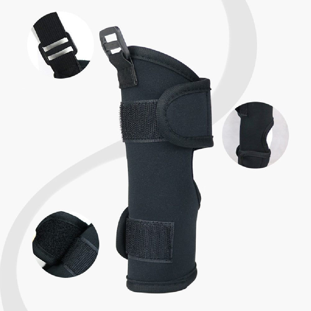 KFX-3481021 Pet Leg Support Protective Cover for Mobility Assistance - Black Traction Belt (Sizes S, M, L)