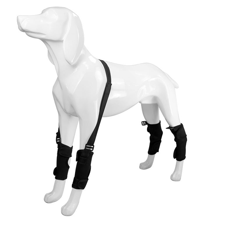 KFX-3481021 Pet Leg Support Protective Cover for Mobility Assistance - Black Traction Belt (Sizes S, M, L)