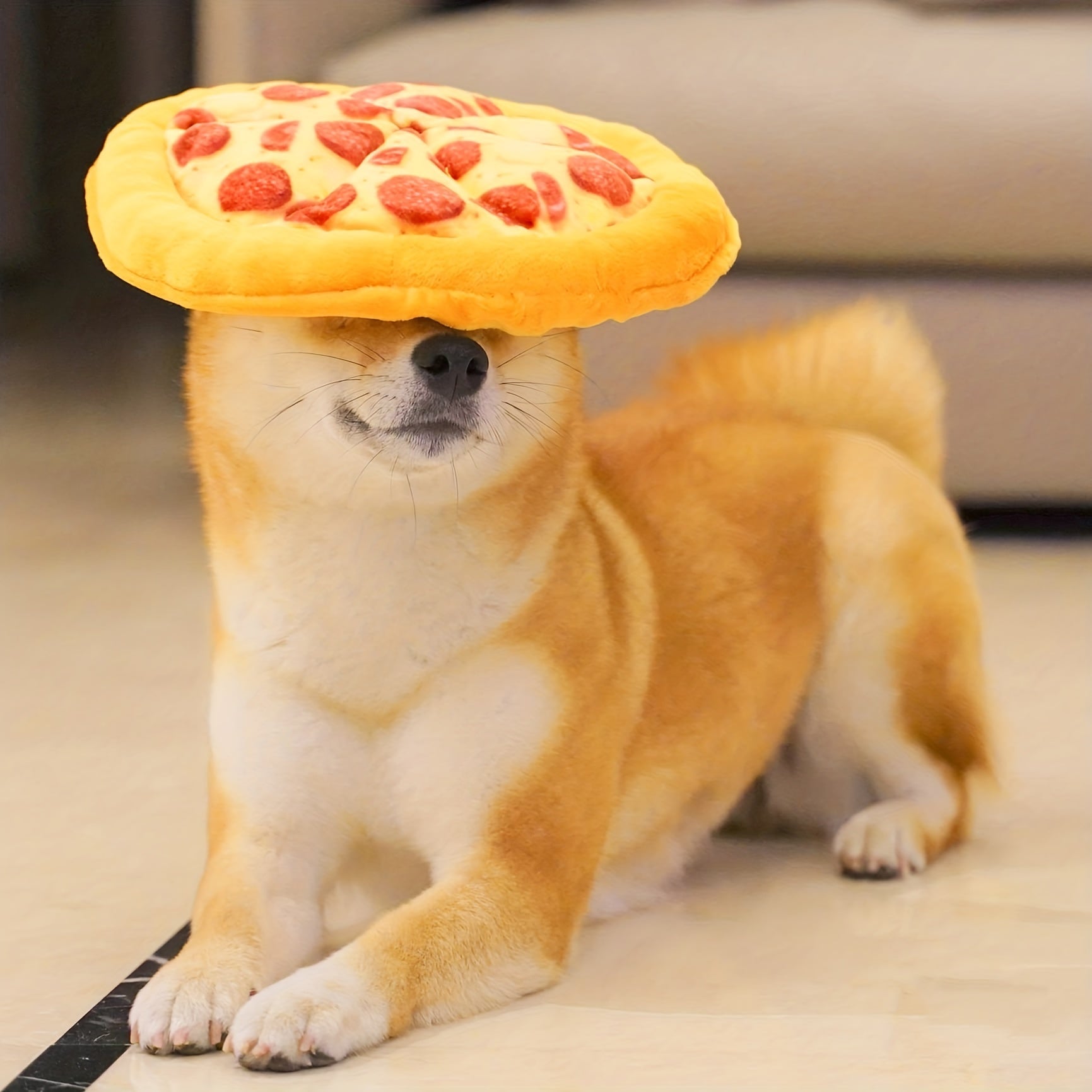 KFX-3481661 Durable Squeaky Dog Chewing Toy in Pizza Shape for Interactive Play and Dental Health