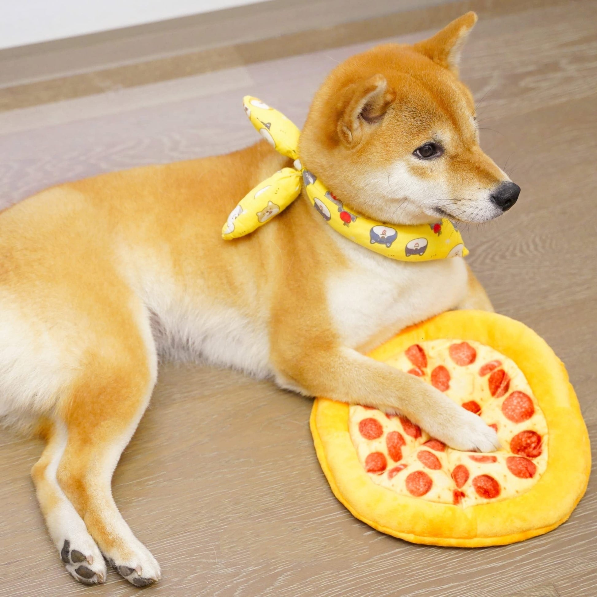 KFX-3481661 Durable Squeaky Dog Chewing Toy in Pizza Shape for Interactive Play and Dental Health