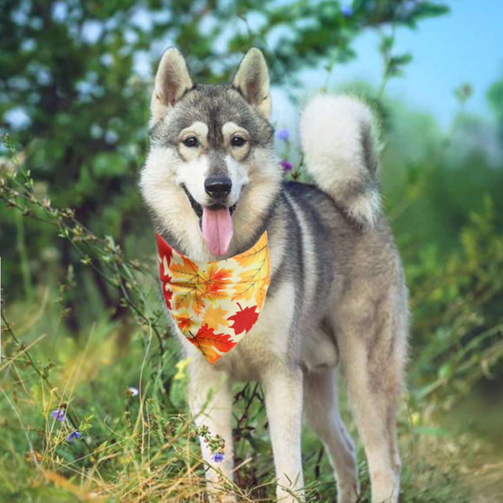 KFX-3481789 Thanksgiving Turkey Pet Costume for Small to Medium Pets - Fits Neck Circumference 25-48CM