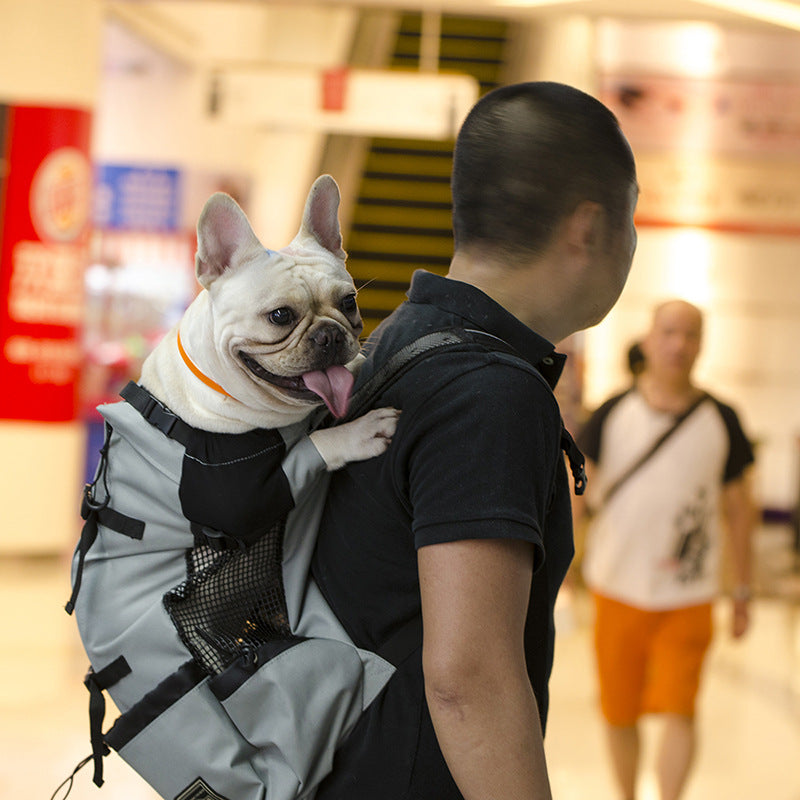 KFX-3486397 Adjustable Outdoor Shopping Backpack for Pets - Polyester, Medium to Soft Hardness, Multiple Sizes Available