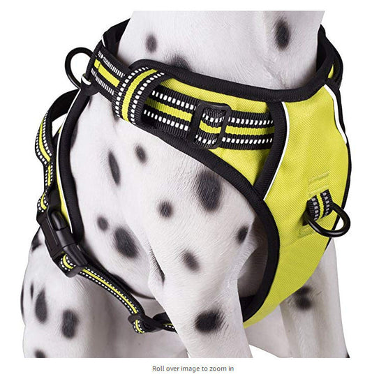KFX-3494973 Adjustable Breathable Reflective Chest Strap for Medium and Large Dogs in Black, Red, Green