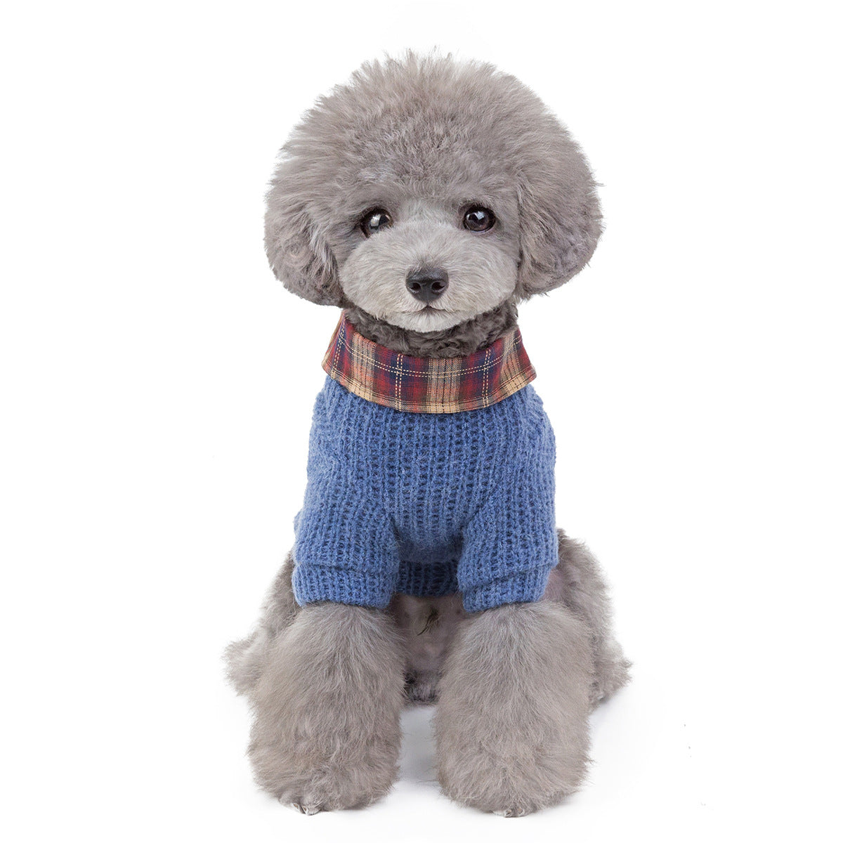 KFX-3499837 Stylish Cotton Windproof Clothing for Dogs and Cats