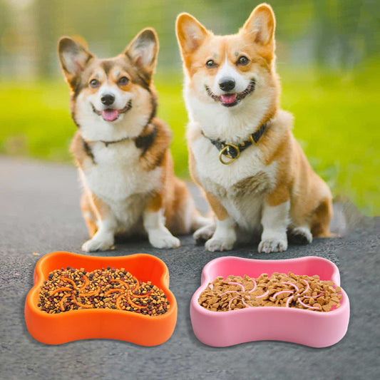 KFX-3506237 Silicone Pet Bowl in Various Colors for Dogs and Cats