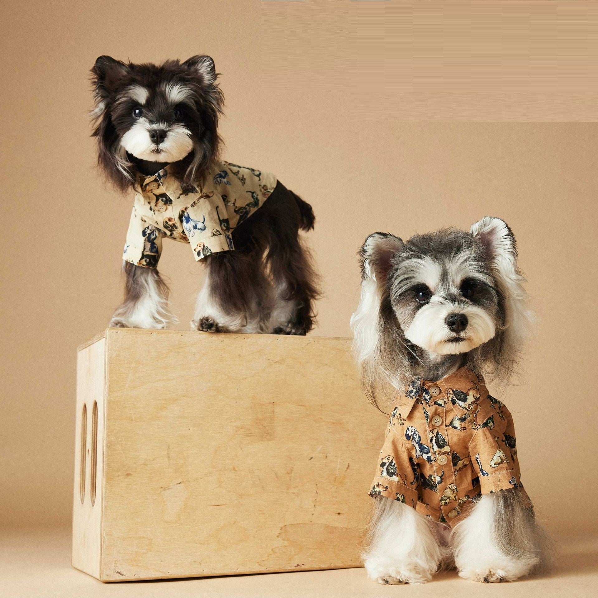 KFX-3507005 Casual Cotton Dog Shirt with Dachshund, Schnauzer, Teddy, Bichon & Maltese Prints in Beige and Brown