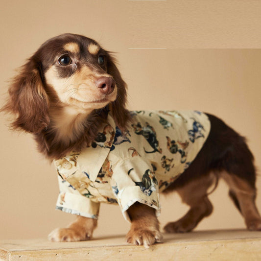 KFX-3507005 Casual Cotton Dog Shirt with Dachshund, Schnauzer, Teddy, Bichon & Maltese Prints in Beige and Brown
