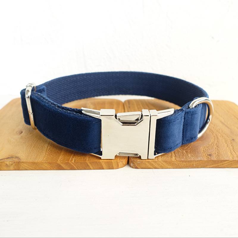 KFX-3509181 Dark Blue Velvet Pet Collar with Traction Chain for Dogs - Adjustable Size Options