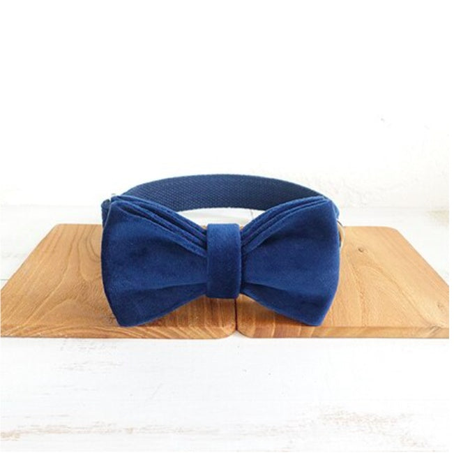 KFX-3509181 Dark Blue Velvet Pet Collar with Traction Chain for Dogs - Adjustable Size Options