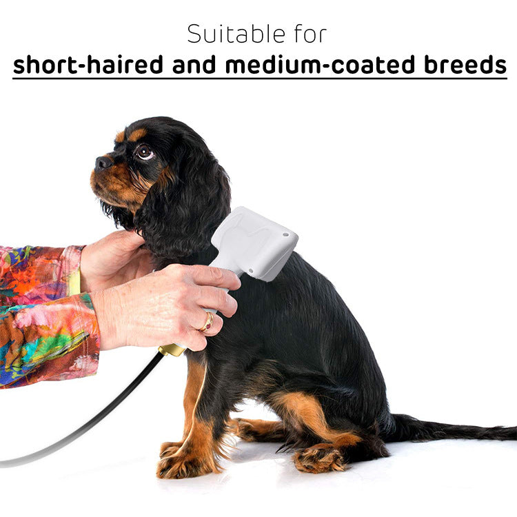 KFX-3512765 Pet Hair Dryer with ABS Material and 360° Rotating Power Cord, 380W, White