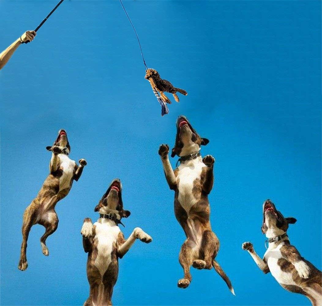 KFX-3514429 Extendable Teaser Wand for Interactive Dog Play - Safe Chew Rope Toy for All Dog Sizes