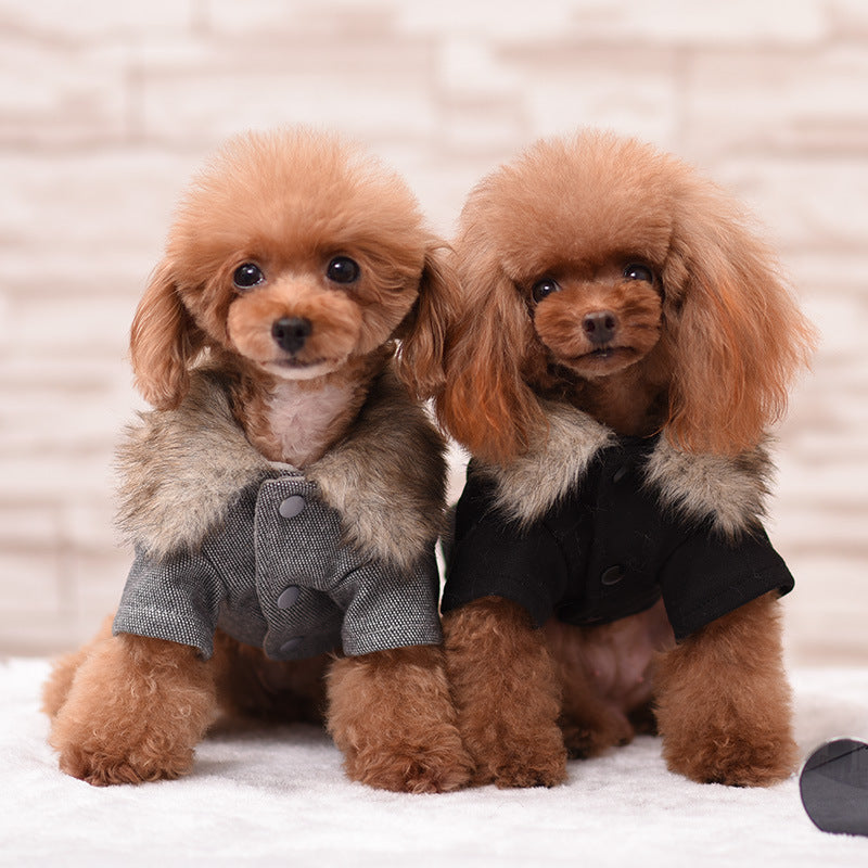 KFX-3517501 British Style Plush Padded Cotton Pet Outfit for All Sizes