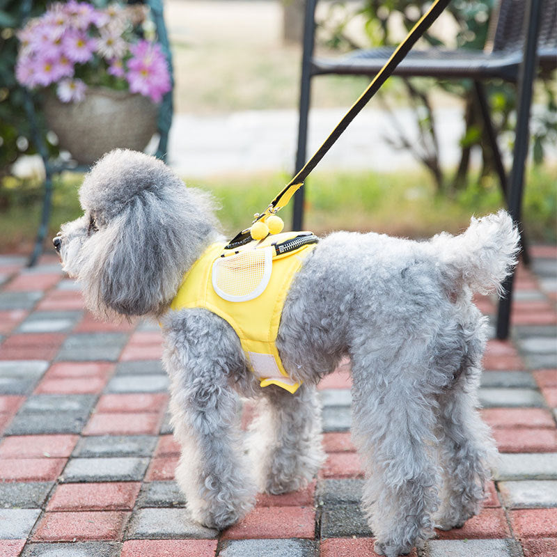 KFX-3521981 Cute Bee Vest with Hand Holding Rope - Available in S, M, L, XL - Alloy Hook and Mesh Material