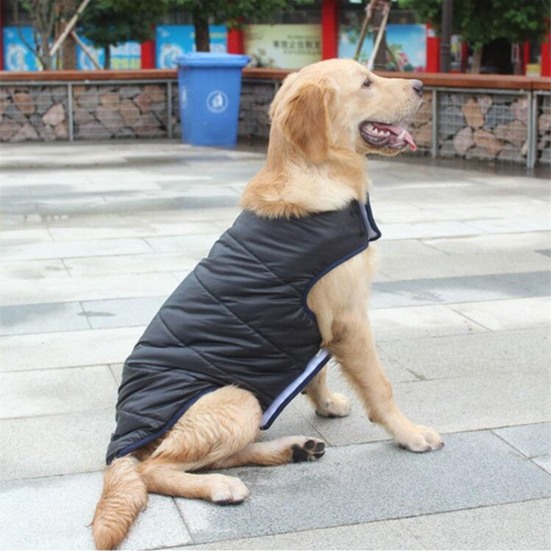 KFX-3522365 Cozy Winter Cotton Dog Coat with Adjustable Fit for Cold Weather