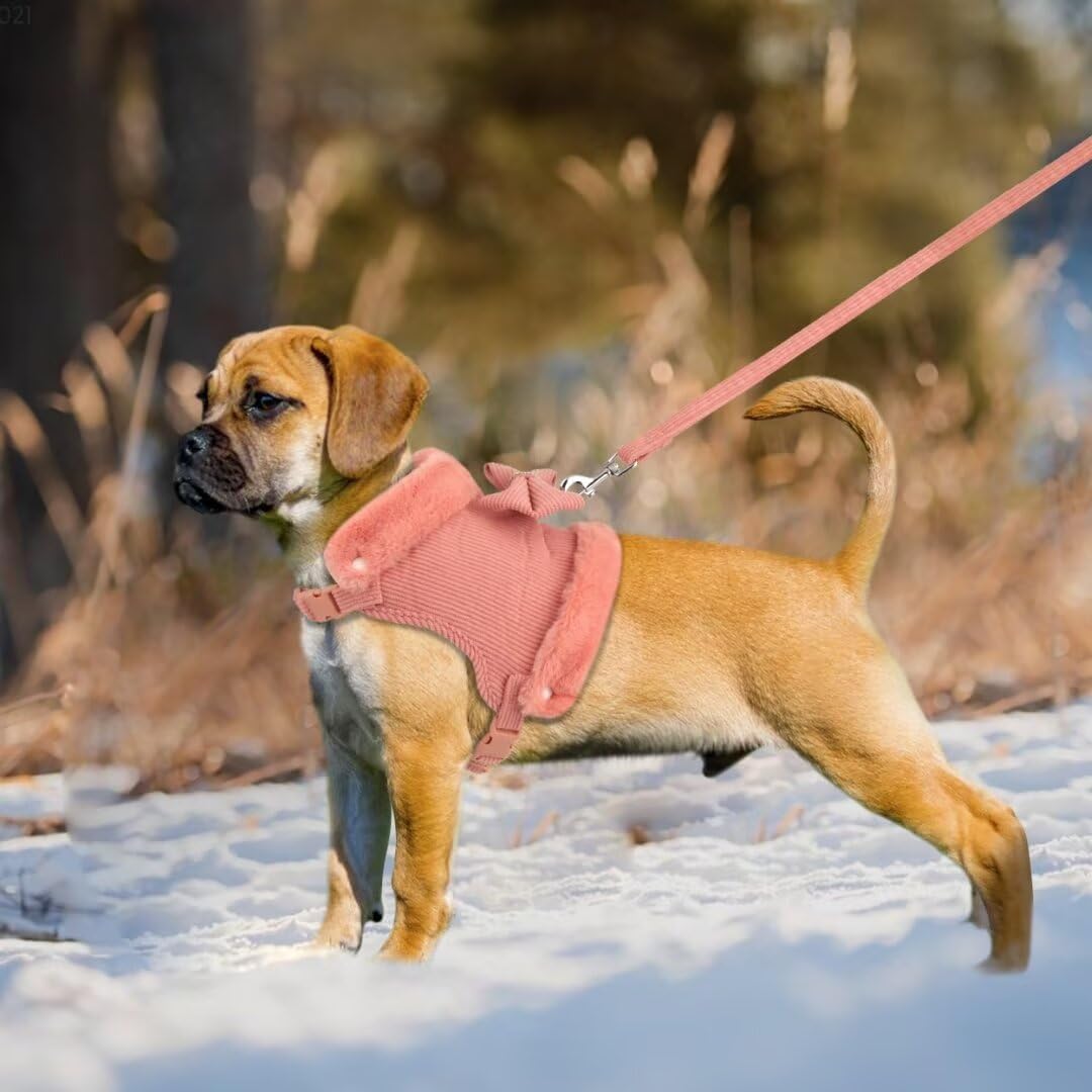 KFX-3524157 Adjustable Bow Tie Dog Harness and Leash Set with Soft Padding and Removable Fur Collar for Small Dogs