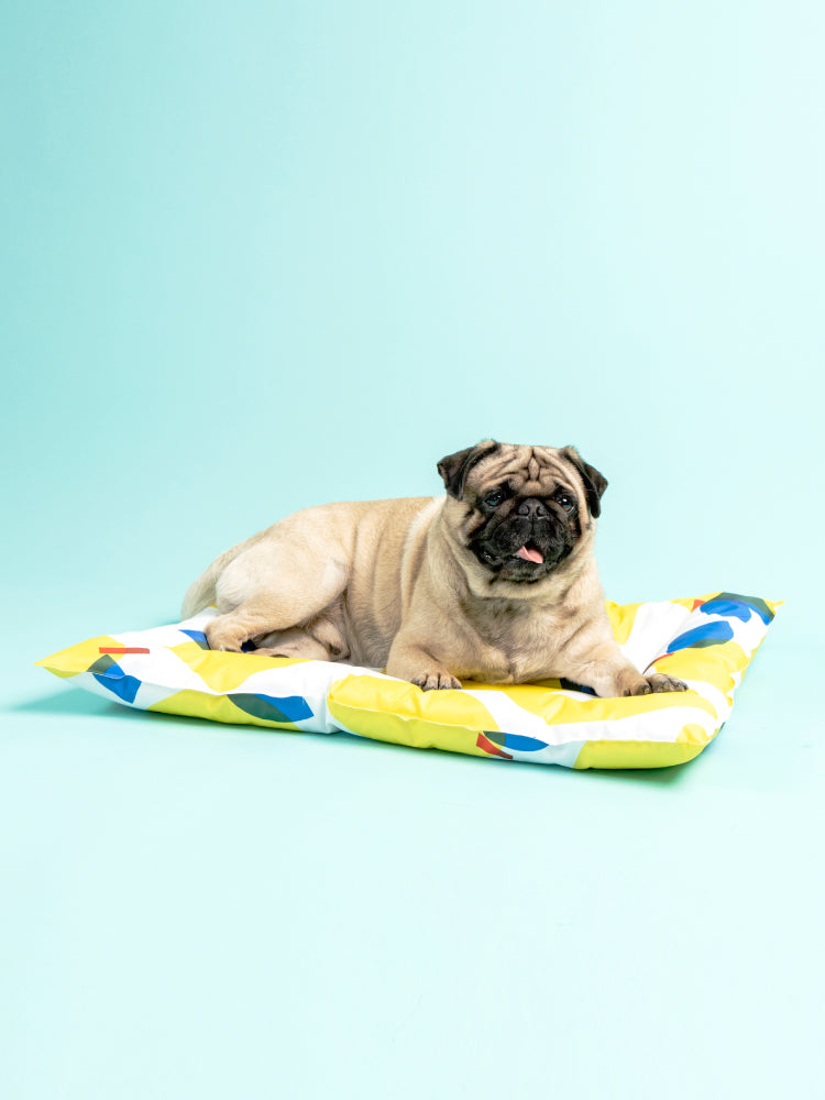 KFX-3524541 Cooling Dog Pad – Non-Sticky Gel Ice Pad for Pets - 550x660x50mm