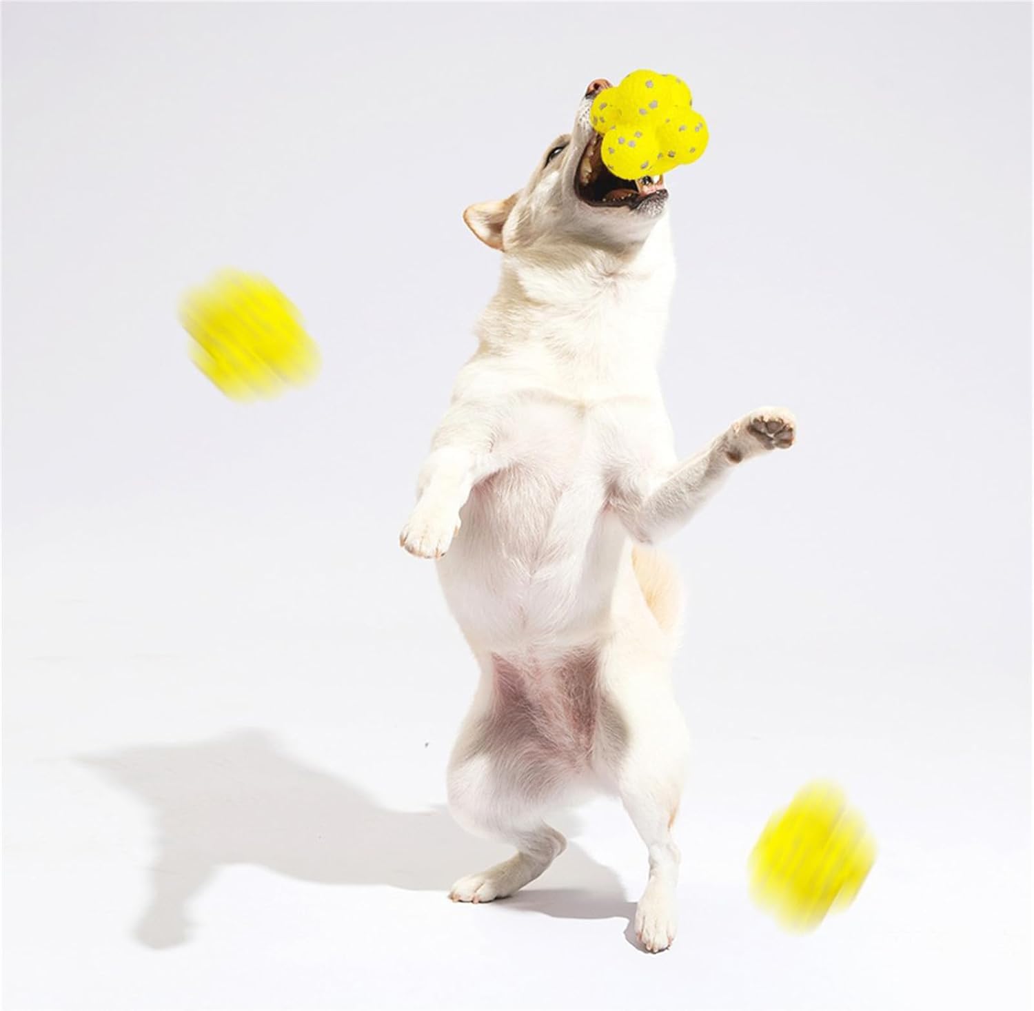 KFX-3525949 Calming Fetch Tennis Ball for Dogs - Soft, Lightweight Toy to Ease Anxiety and Promote Activity