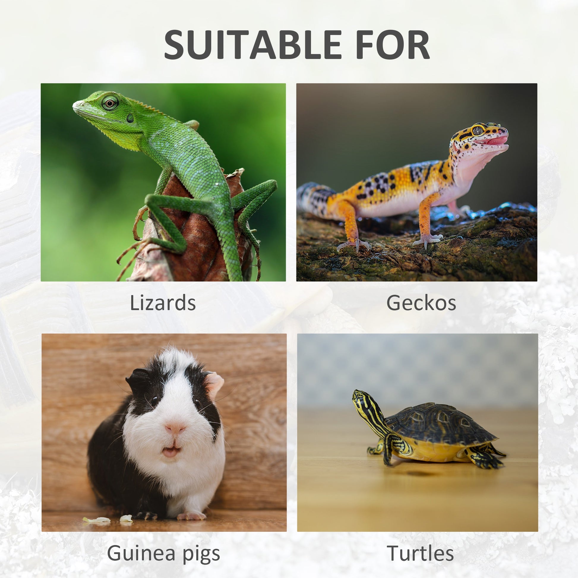 KFX-3526333 3-Window Reptile Cage with Slide-Out Tray for Turtles and Small Animals