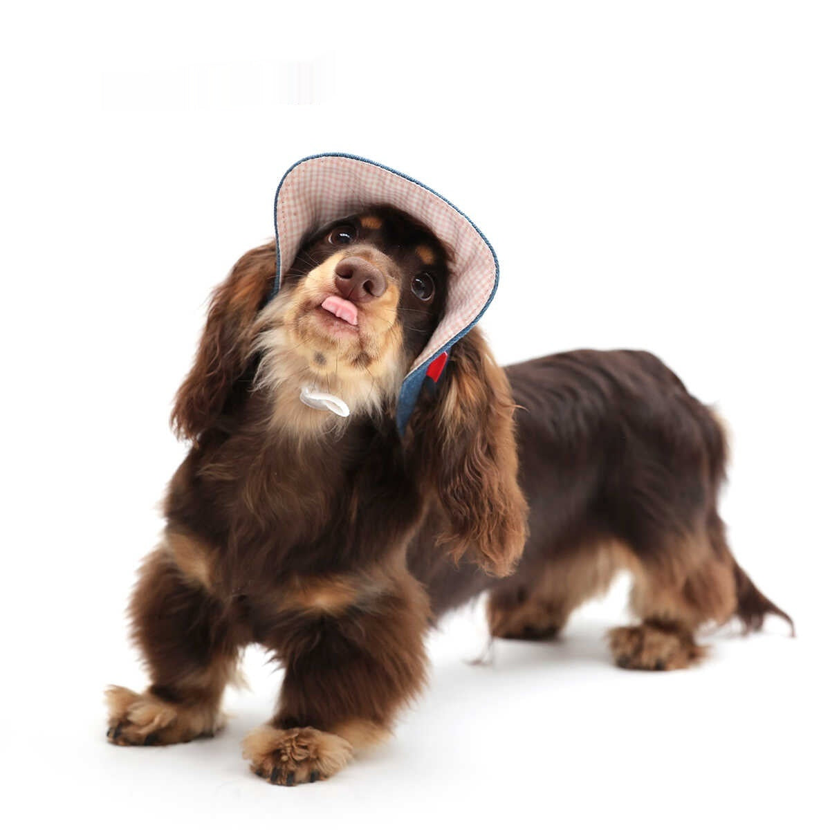 KFX-3534013 Pet Sun Protection Denim Cowboy Hat for Dogs - Sizes S, M, L, XL