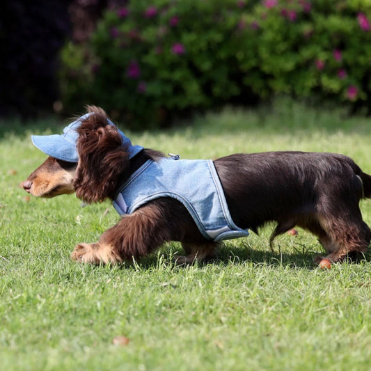 KFX-3534013 Pet Sun Protection Denim Cowboy Hat for Dogs - Sizes S, M, L, XL