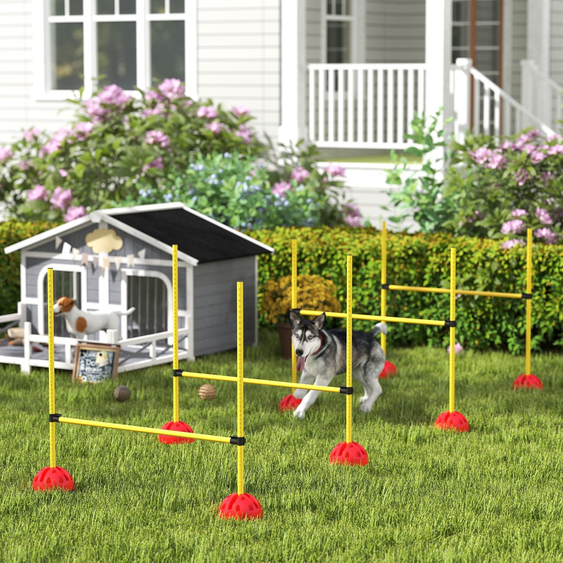 KFX-3539005 Adjustable Dog Agility Jump Set with Carry Bag - 4 Piece Course for Training and Exercise