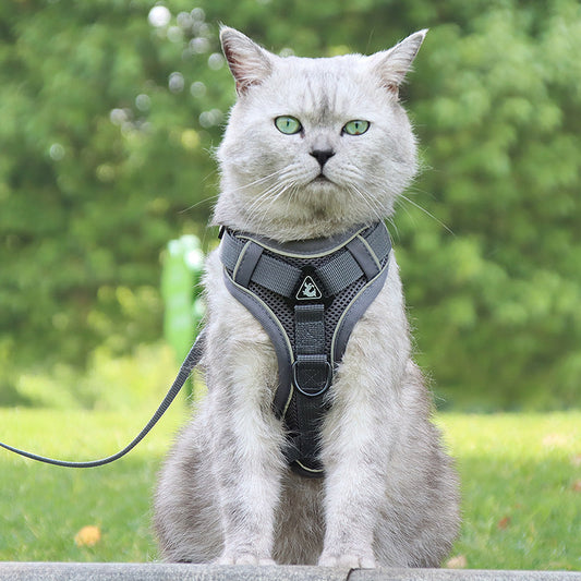 KFX-3539773 Anti-Breakaway Cat Rope with Silver Gradient Chain and Multiple Color Options