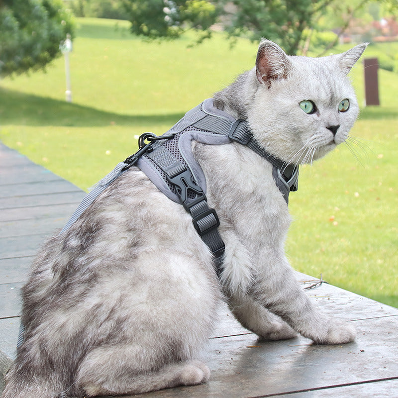 KFX-3539773 Anti-Breakaway Cat Rope with Silver Gradient Chain and Multiple Color Options