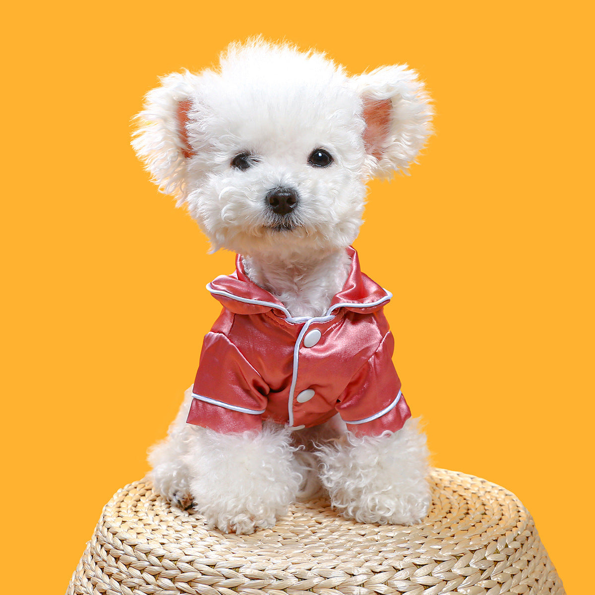 KFX-3540797 Comfortable Silk Pet Pajamas in Pink and Navy Blue, Cotton Material, Sizes XS to XXL