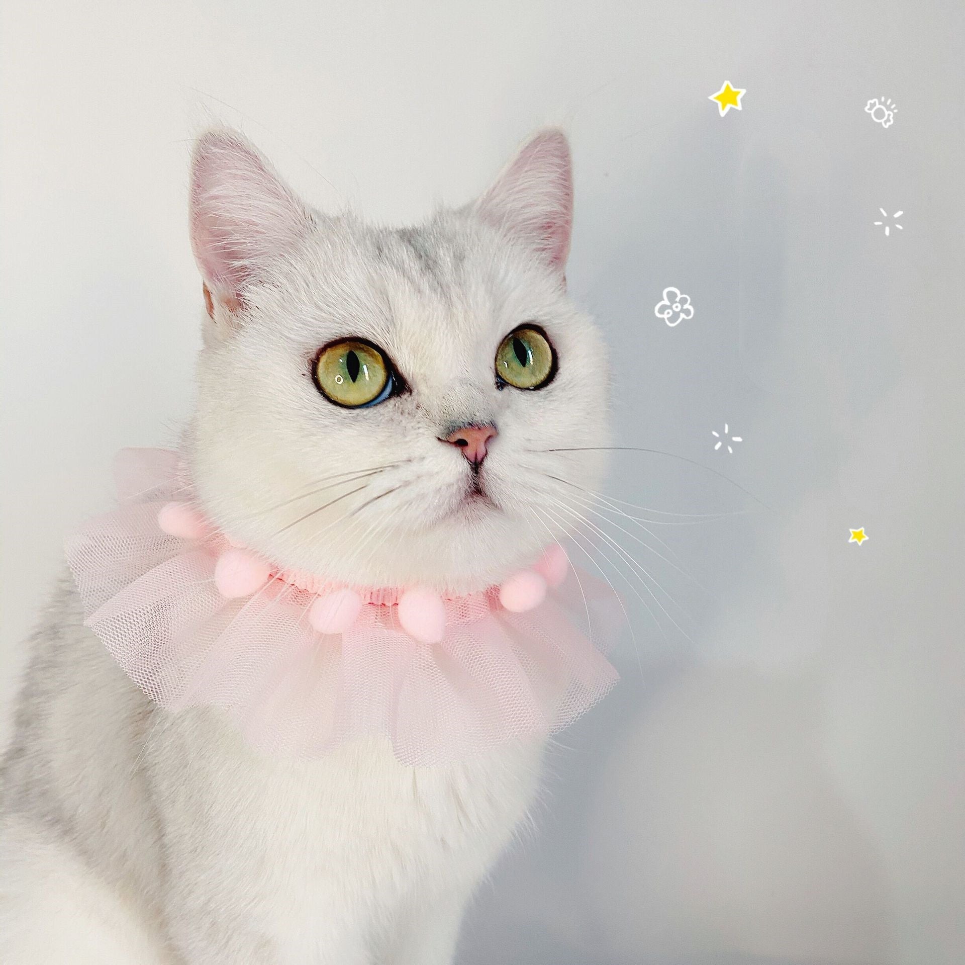 KFX-3541949 Adjustable Lace Pet Collar for Cats and Dogs - Pink, Blue, White Organza, Small to Medium Sizes