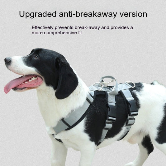 KFX-3543741 Medium and Large Dog Leash for Corgis - Durable Polyester, Multiple Colors Available