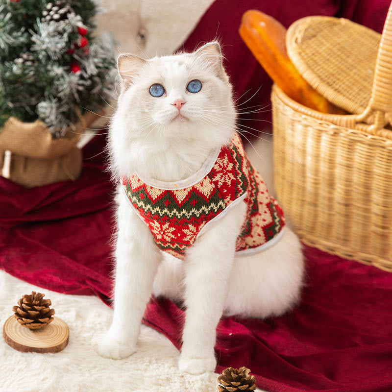 KFX-3544509 Cute Bear Pattern Winter Dog Sweater for Small Dogs and Cats – Lightweight Pullover for Holidays and Everyday Wear