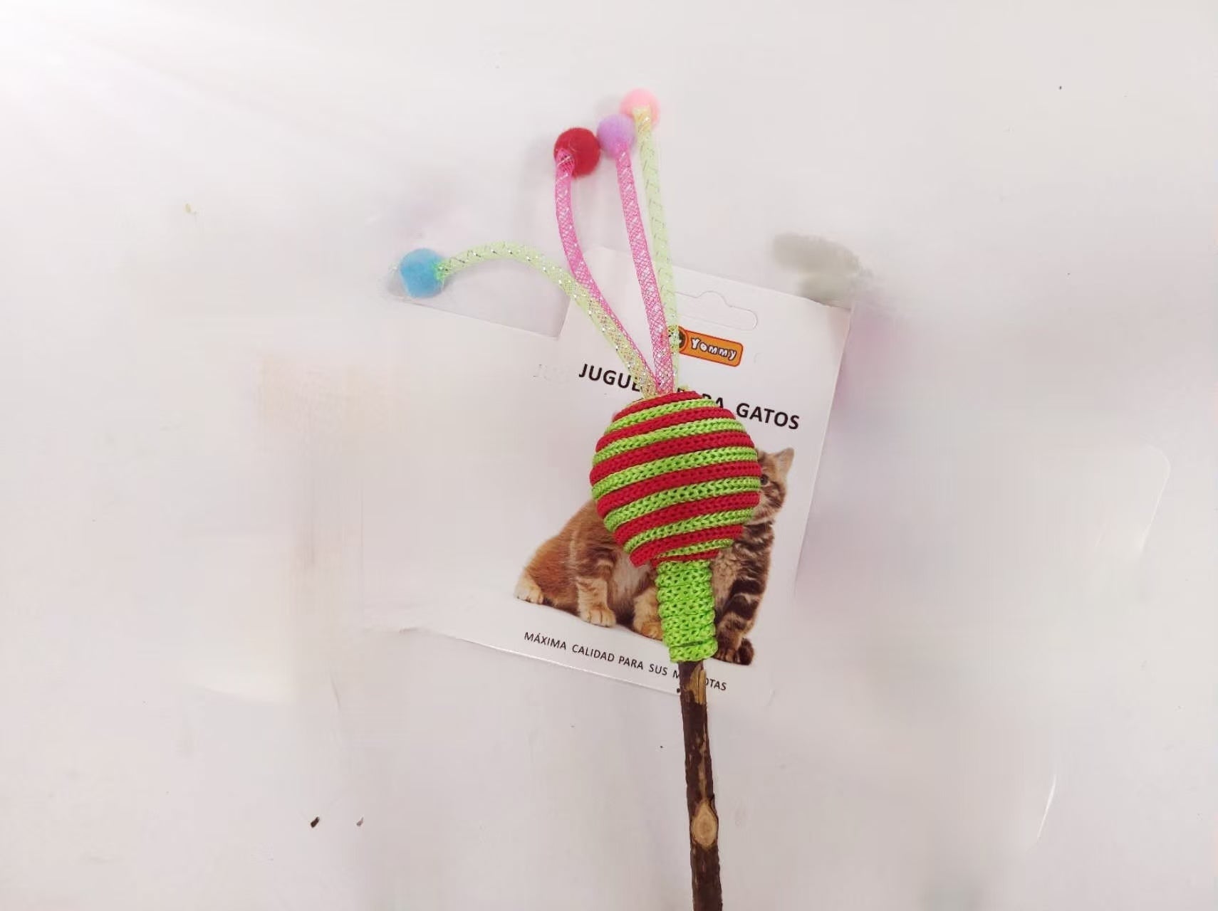 KFX-3544765 Polygonum Multiflorum Herbal Lollipop - Nutrient-Rich Treat for Wellness