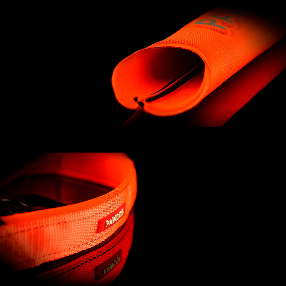 KFX-3548989 Adjustable Nylon Dog Chest Strap with Leash - Orange and Green Options, Various Sizes Available
