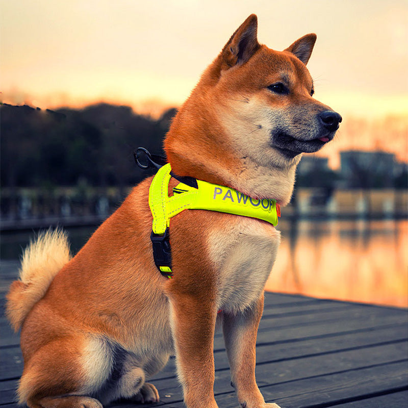 KFX-3548989 Adjustable Nylon Dog Chest Strap with Leash - Orange and Green Options, Various Sizes Available