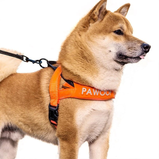 KFX-3548989 Adjustable Nylon Dog Chest Strap with Leash - Orange and Green Options, Various Sizes Available