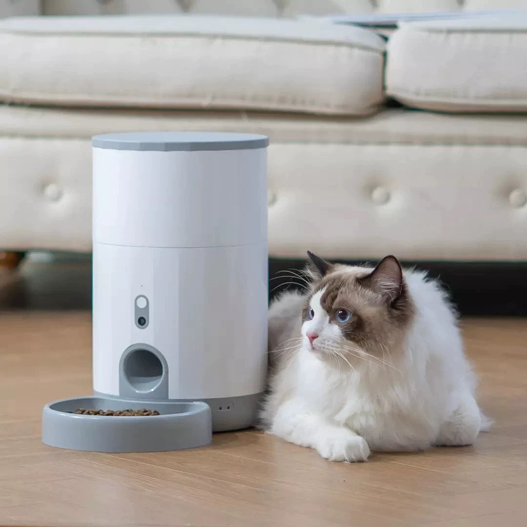 KFX-3550525 Automatic Mini Pet Feeder with Stainless Steel Bowl for Cats and Dogs