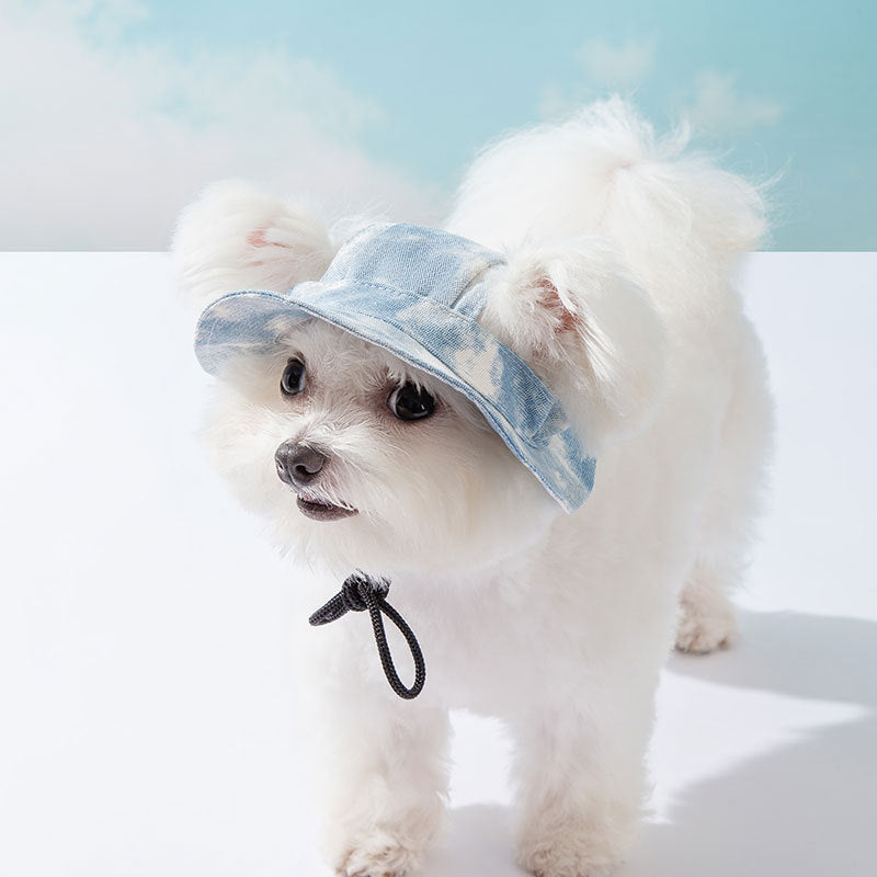 KFX-3556029 Cute Anti-Fall Pet Hat with Leaking Ears for All Seasons - Multiple Sizes Available