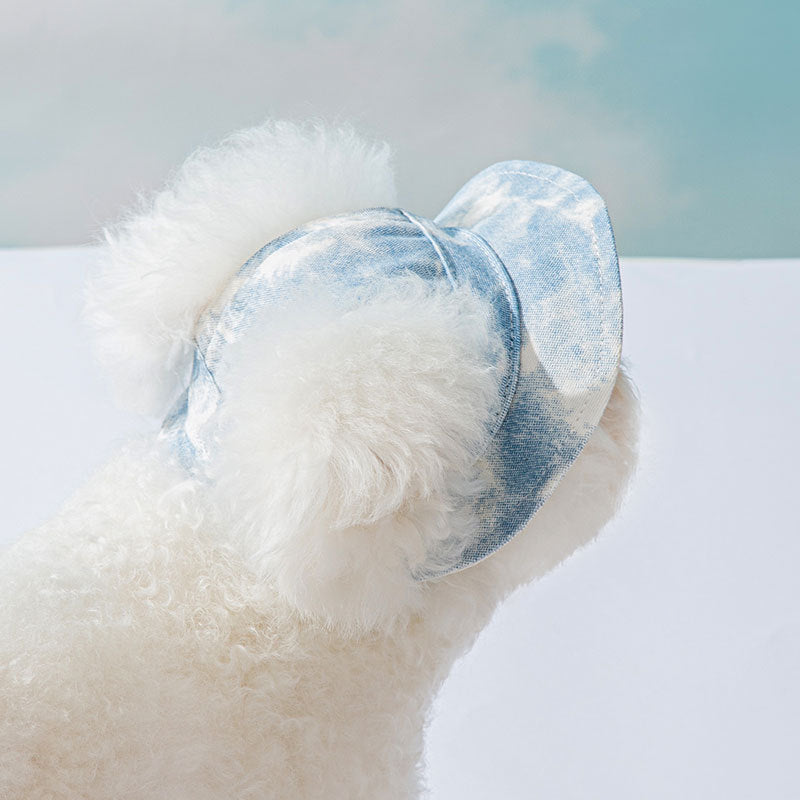 KFX-3556029 Cute Anti-Fall Pet Hat with Leaking Ears for All Seasons - Multiple Sizes Available