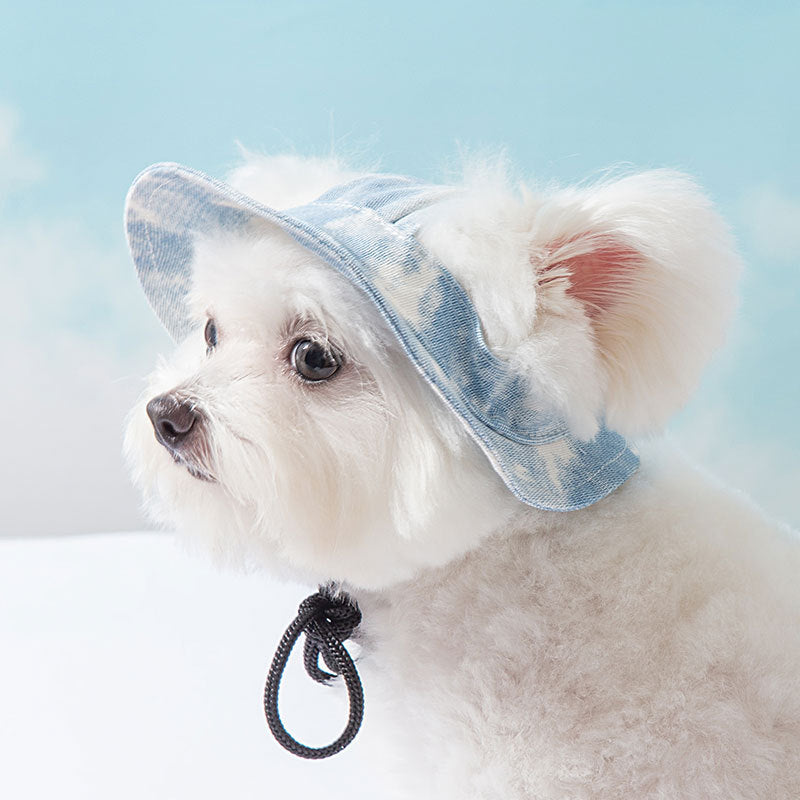KFX-3556029 Cute Anti-Fall Pet Hat with Leaking Ears for All Seasons - Multiple Sizes Available