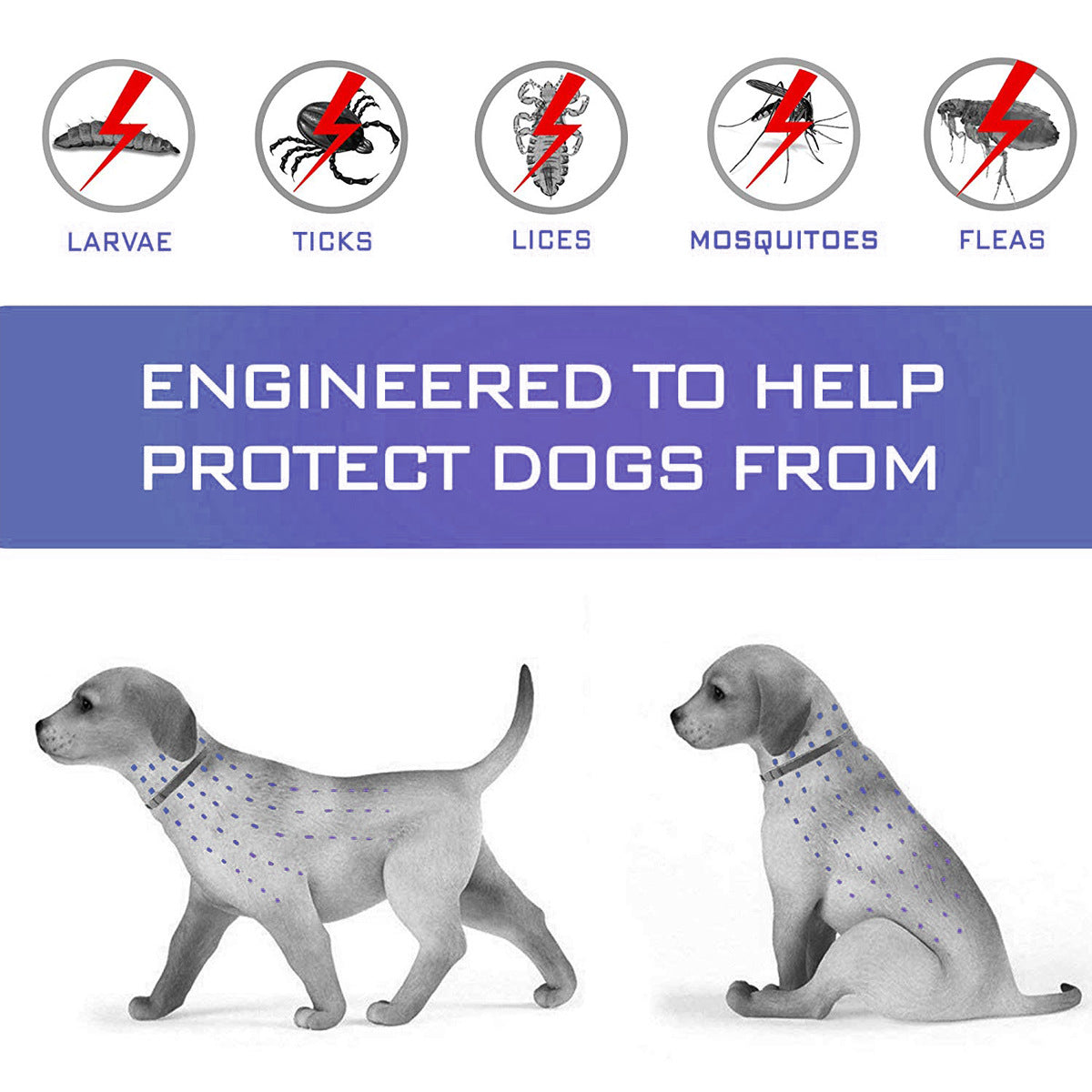 KFX-3563197 Flea and Mosquito Repellent Collars for Dogs and Cats - Grey, Fashionable Design